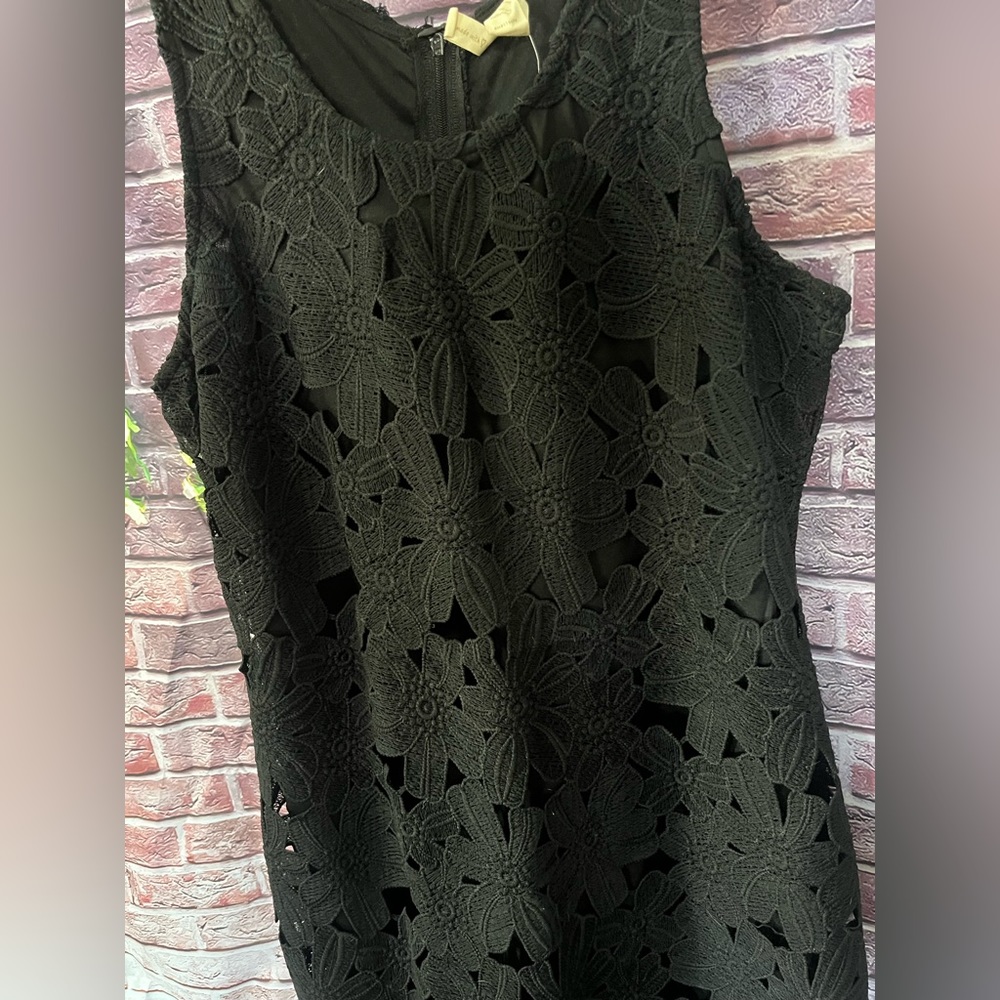 Japna Lace Overlay Dress